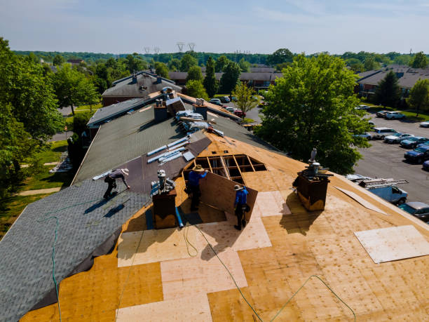 Best Storm Damage Roof Repair  in Langston, OK