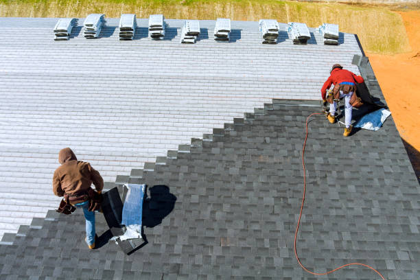 Best Metal Roofing Contractor  in Langston, OK