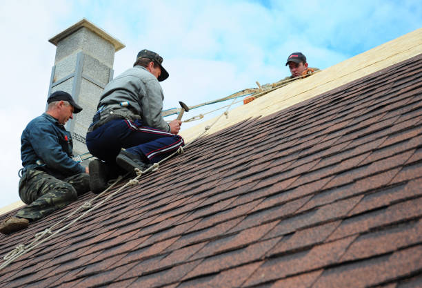 Professional Roofing Contractor in Langston, OK
